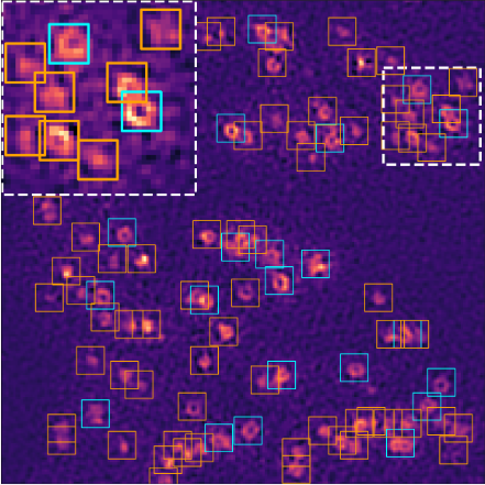 Dynamic Inverse Problems in Time-Lapse Microscopy