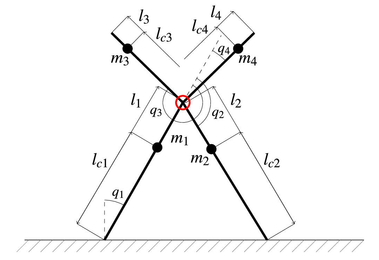The mathematical description of the robot is based on the laws of mechanics