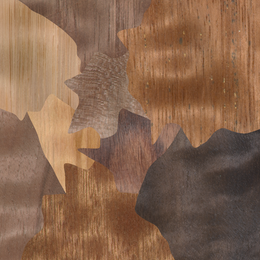 3D BTF exotic wood mosaic.