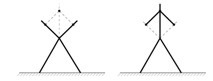 Torso with two arms biped reduced to double torso biped